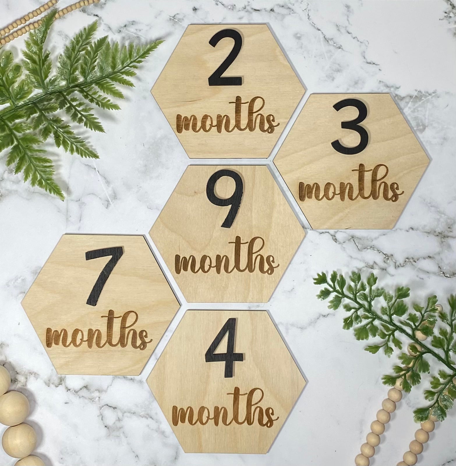 Infant Milestones | Baby Announcements | Monthly Discs | First Year